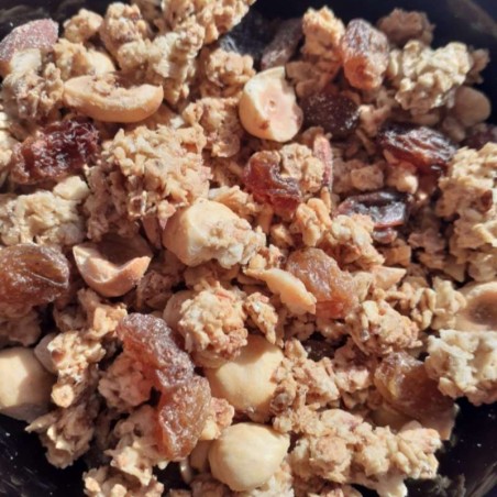 Granola aux fruits secs - Gourmand - Sans sucre ajouté - Bio