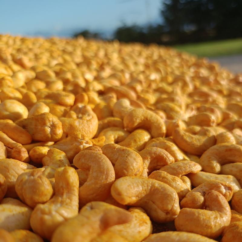 Noix de cajou & curry - Apéritif - Bonheur et papilles