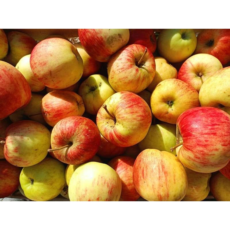 P'tits délices pommes citron - Bonheur et papilles