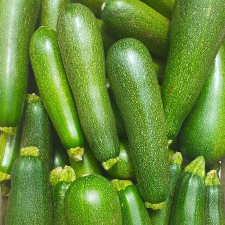 Risotto aux courgettes & curry - Prêt à cuisiner - Bonheur et papilles